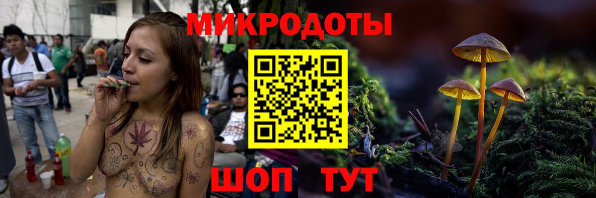 Псилоцибиновые грибы Psilocybe Пушкино
